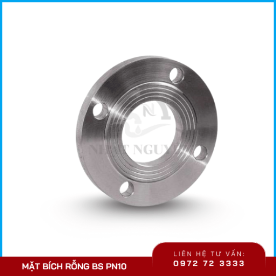 Mặt Bích rỗng BS PN10
